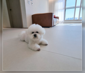 해링턴플레이스테크노폴리스ㅣ화이트카라 …